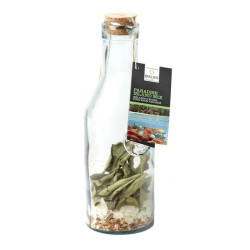 CARAFE MELANGE RHUM ARRANGE PARADISE