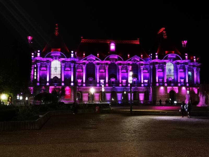 le palais des beaux arts in lille