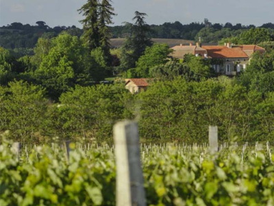 Discover the Wines of Domaine UBY