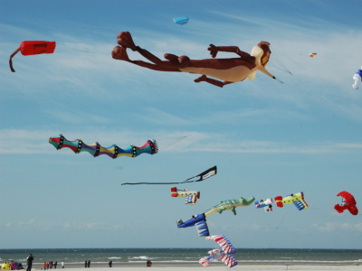 Berck Kite Festival 2026 + Calais Wine Shopping | Best UK Day Trip