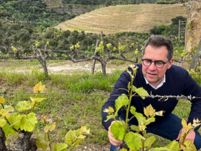 Rare wine: the bottles you won't find in UK supermarkets